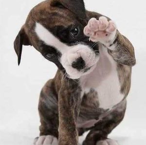 Meet your Posher, Marcus